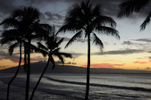 Enlarge photo 39