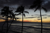 Enlarge photo 40