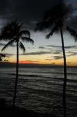 Enlarge photo 41