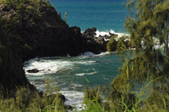 Enlarge photo 47