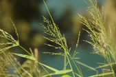 Enlarge photo 50