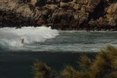 Enlarge photo 57