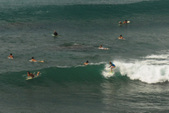 Enlarge photo 59