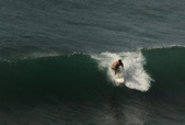 Enlarge photo 62