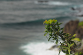 Enlarge photo 67