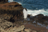 Enlarge photo 73
