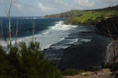 Enlarge photo 81