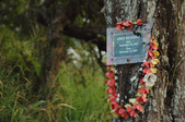 Enlarge photo 82