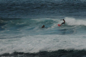 Enlarge photo 83