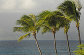 Enlarge photo 86