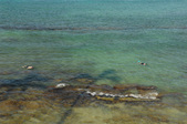 Enlarge photo 88