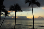 Enlarge photo 91