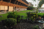 Enlarge photo 97