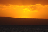 Enlarge photo 98