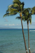 Enlarge photo 205