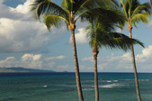 Enlarge photo 210