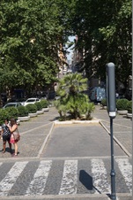 Enlarge photo 110