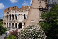 Enlarge photo 61
