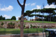 Enlarge photo 164