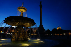 Enlarge photo 246