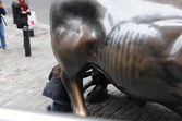 Enlarge photo 56