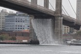 Enlarge photo 69