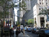 Enlarge photo 118