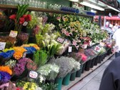 Enlarge photo 141