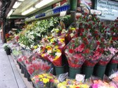 Enlarge photo 142
