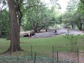 Enlarge photo 174