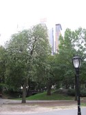 Enlarge photo 172