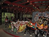 Enlarge photo 177