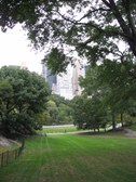 Enlarge photo 179