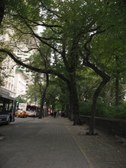 Enlarge photo 182
