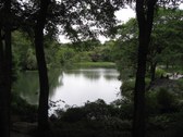 Enlarge photo 184