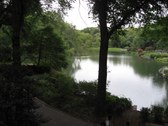 Enlarge photo 183