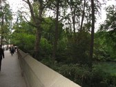 Enlarge photo 185