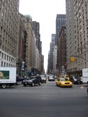 Enlarge photo 186