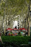 Enlarge photo 41