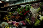Enlarge photo 54