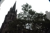 Enlarge photo 110