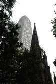 Enlarge photo 127
