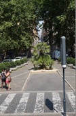Enlarge photo 116