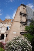 Enlarge photo 137