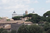 Enlarge photo 173