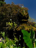 Enlarge photo 4