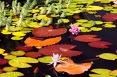 Enlarge photo 36