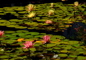 Enlarge photo 37