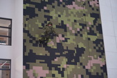 Enlarge photo 240