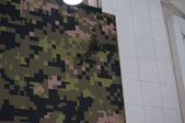 Enlarge photo 241
